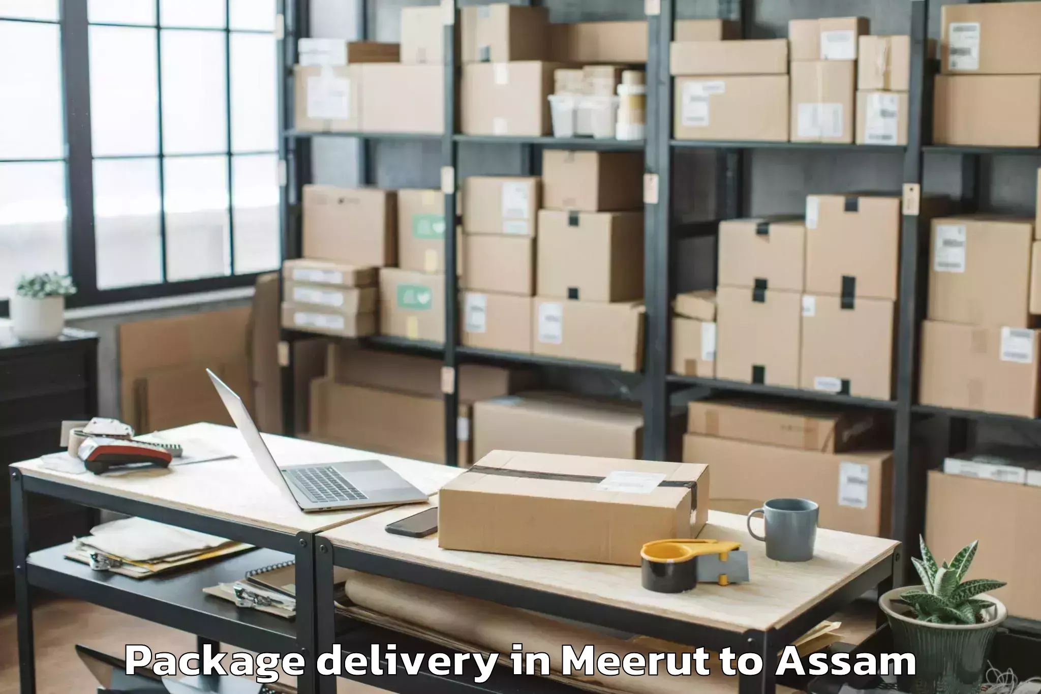 Leading Meerut to Behali Package Delivery Provider